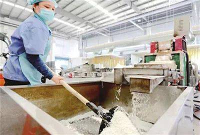 愿天下无废 让西青更美 ──记万绿达(天津)再生资源利用