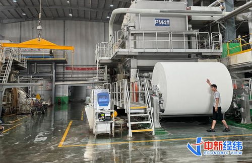 探访 华北纸都 不打价格战,造纸厂还能 卷 什么